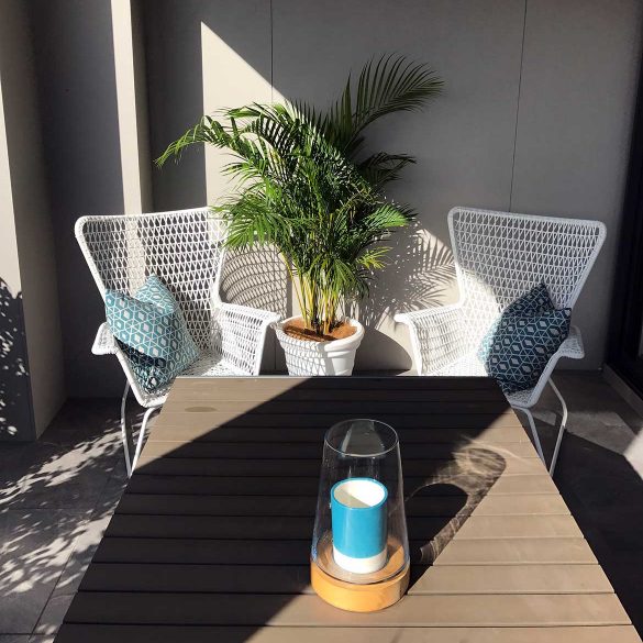 outdoor tropical palm hire plant in white pot in between white chairs