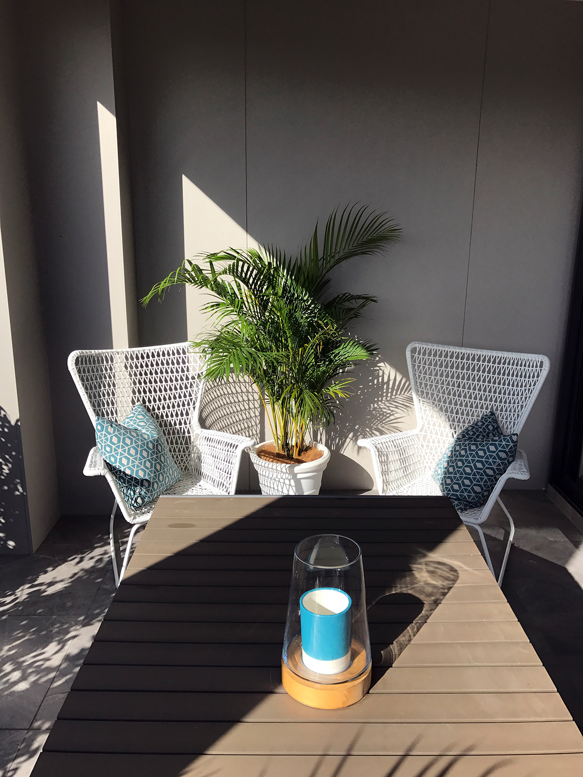 outdoor tropical palm hire plant in white pot in between white chairs